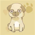 狗了个狗 V1.3.5 安卓版