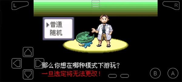 口袋妖怪传说绿宝石新手攻略配图1