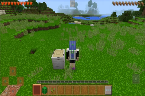 生存战争2.3中文版手机版 V1.41 安卓版