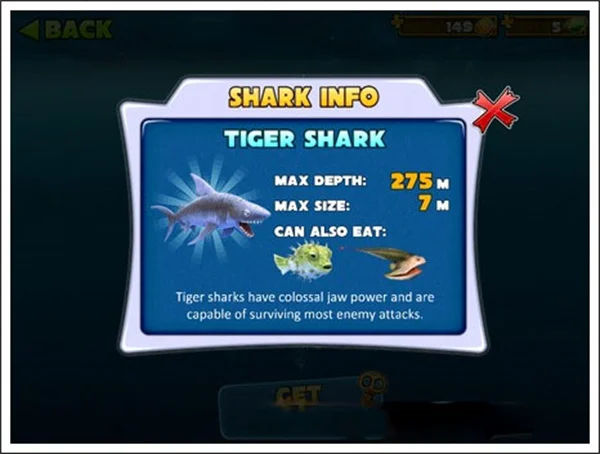 鲨鱼介绍推荐配图4