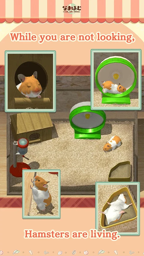 我的仓鼠手游最新版2026 V5.0.17 安卓版