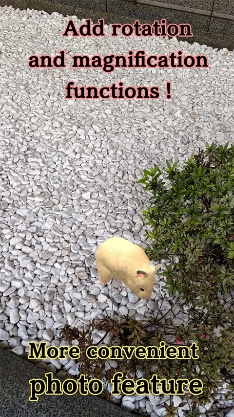 我的仓鼠手游最新版2026 V5.0.17 安卓版