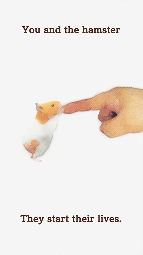 我的仓鼠手游最新版2026 V5.0.17 安卓版