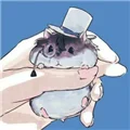 仙路问情金手指破解版 V1.0 安卓版