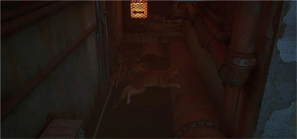 第2章死城攻略配图3