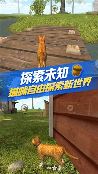 猫咪生存模拟器游戏2026 V220 安卓版