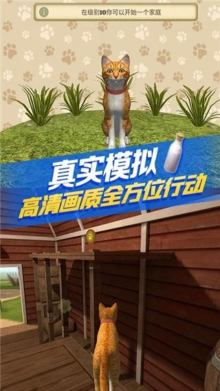 猫咪生存模拟器游戏2026 V220 安卓版