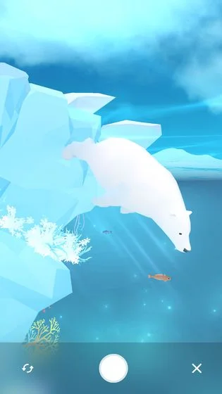深海水族馆极地正版宣传图