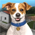 动物收容所模拟器 V1.382 安卓版