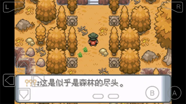 口袋妖怪登峰造极内置修改器 V1.0 安卓版