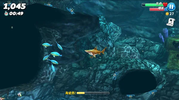 哪些鲨鱼厉害配图1