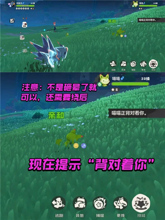 如何提高捕捉率配图1
