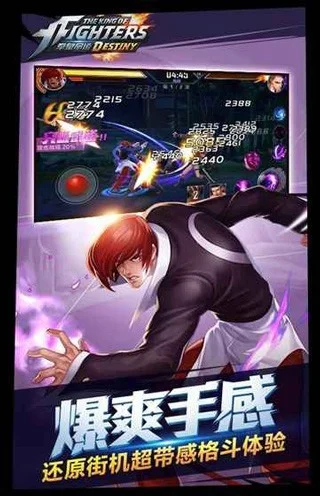 拳皇命运2026版 V2.31.000 安卓最新版 拳皇命运2026版 V2.31.000 安卓最新版
