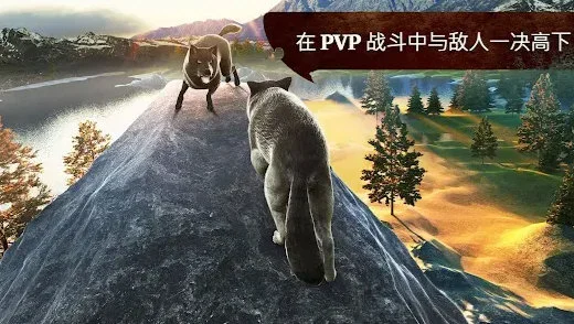 狼族破解版2026最新版本 V4.5.0 安卓版