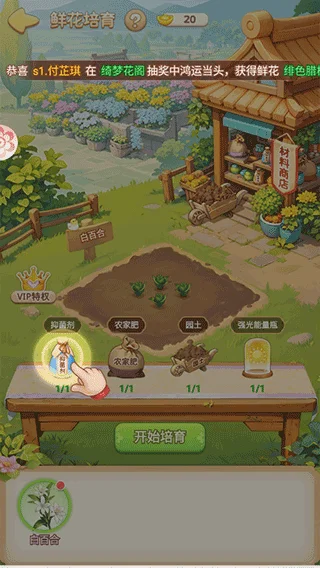 新手攻略配图3