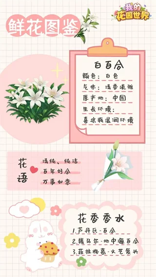 鲜花图鉴配图2