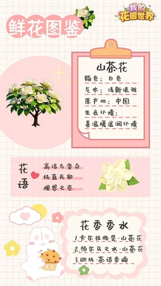 鲜花图鉴配图1
