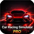 赛车模拟器专业版无限金币版 V2 安卓版