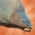 鲤鱼垂钓模拟器游戏 V3.1.3 安卓版