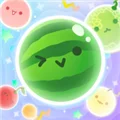 西瓜游戏宇宙版 V1.0.5 安卓版