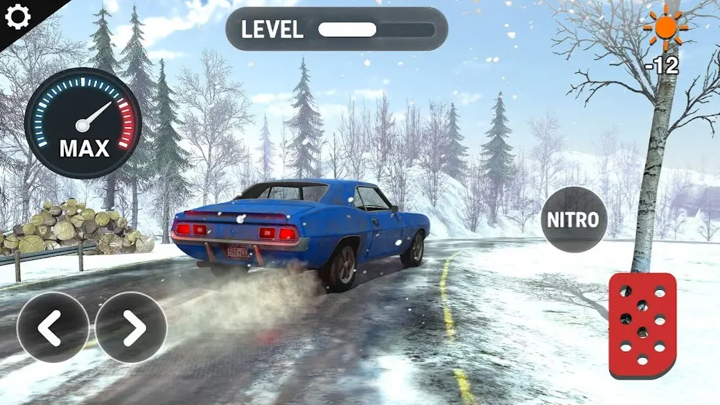 我的冬季驾驶汽车模拟器无限金币版 V1.1.1 安卓版