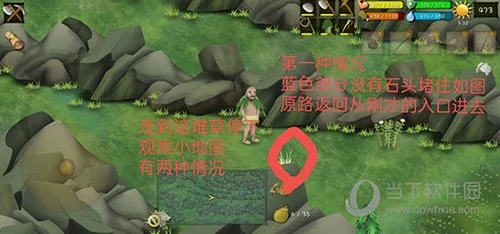 挨饿荒野罗马尼亚高山攻略4